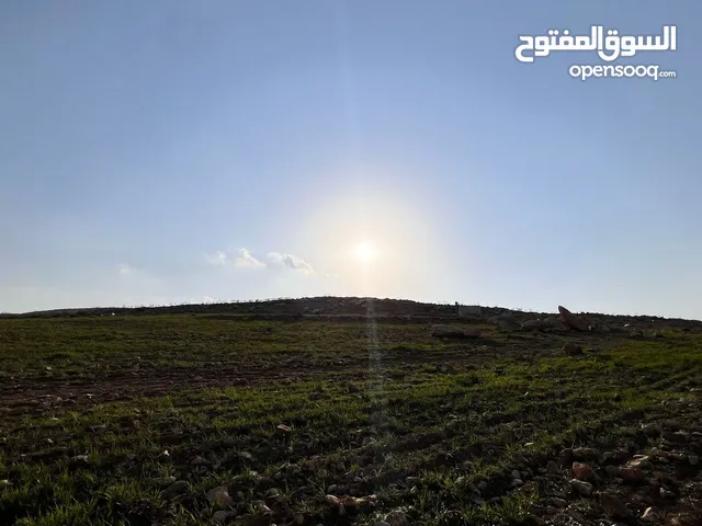 Mixed Use Land for Sale in Amman Shafa Badran