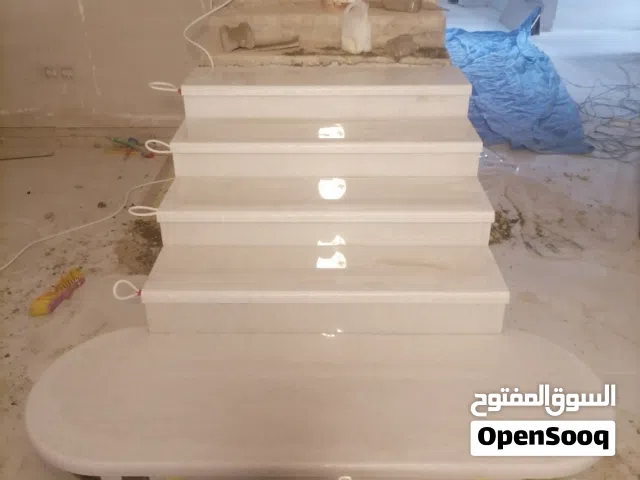 عباس مبلط باكستاني