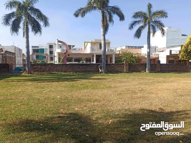 قطعة أرض رائعة للبيع في جميرا 1-فرصة حصرية-Prime Land for Sale in Jumeirah 1 - Exclusive Opportunity