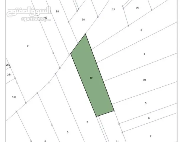 Farm Land for Sale in Irbid Harima