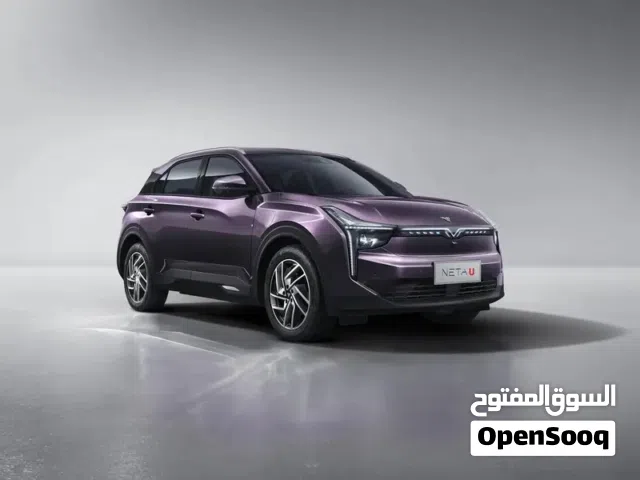 2022 Neta U Pro 400