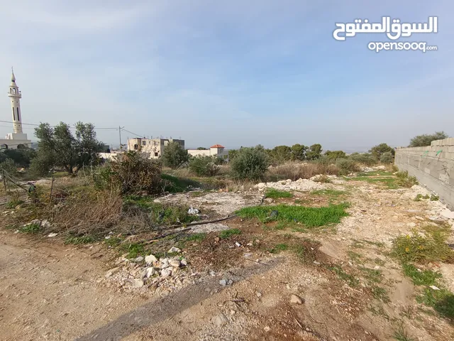 Residential Land for Sale in Jenin Haifa St.
