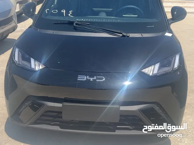 BYD 2025 سيقال