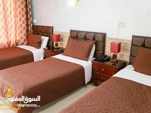 Furnished Daily in Amman Downtown