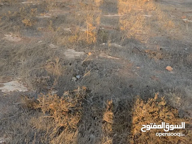 Mixed Use Land for Sale in Benghazi Bu Hadi