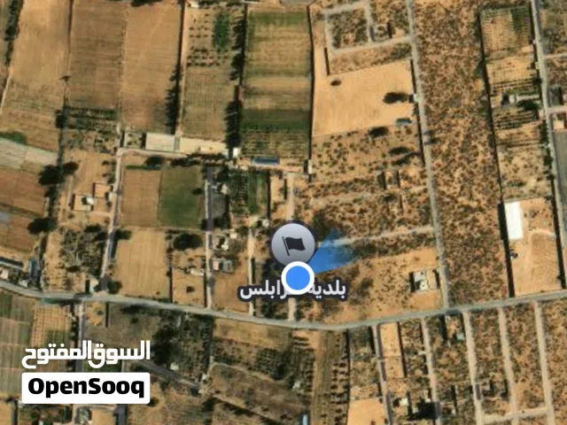 الأرض 500 متر وادي الربيع