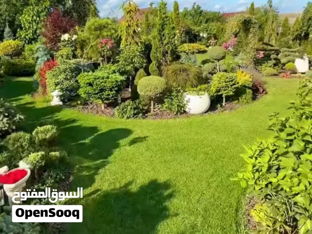 قص الاشجار وتشكيلها ومعالجه الاشجار ومعالجه التربه