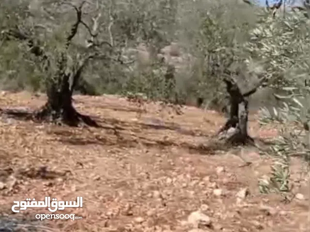 Residential Land for Sale in Ramallah and Al-Bireh Kafr Ni'ma