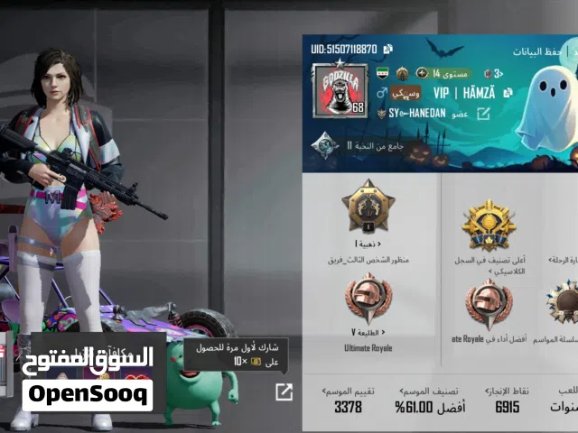 Pubg Accounts and Characters for Sale in Hama