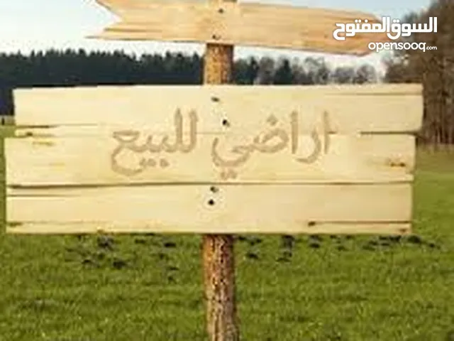 Residential Land for Sale in Amman Abu Nsair