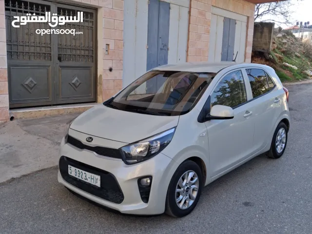 كيا بيكانتو 2019 أوتوماتيك فحص نخب