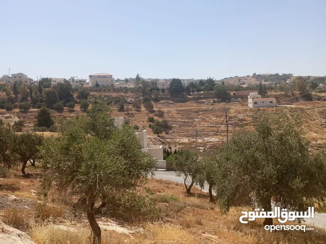 Residential Land for Sale in Amman Naour
