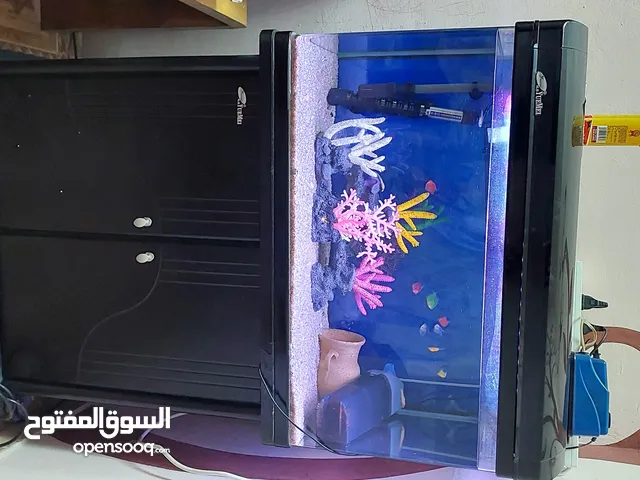 aquarium for sale