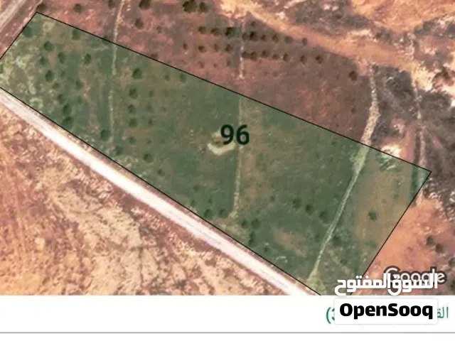 Mixed Use Land for Sale in Zarqa Graiba