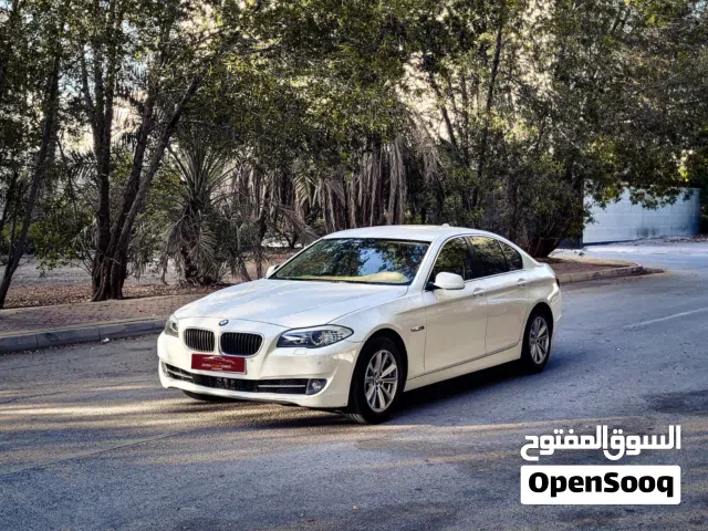 2013 BMW 5 Series 520