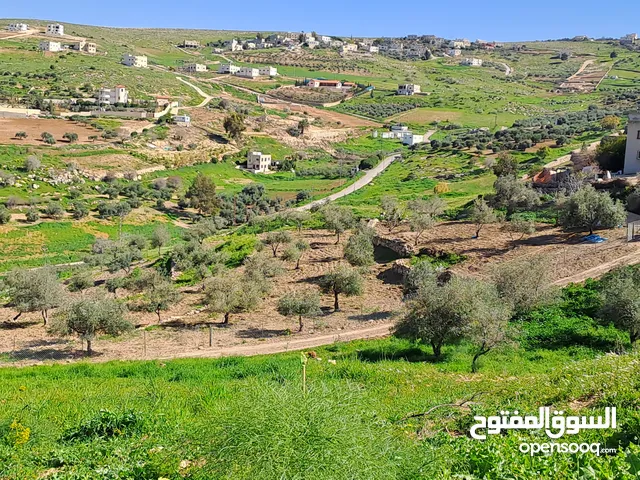 سعر مميز - بيع مستعجل - زراعية - 4090 متر بيرين - صروت