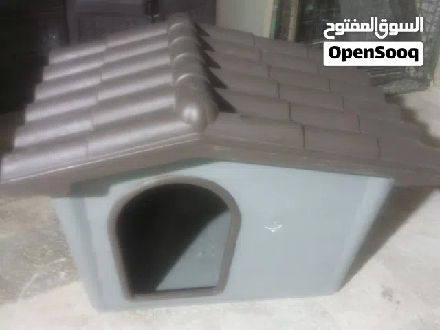بيت مخصص للقطط والكلاب