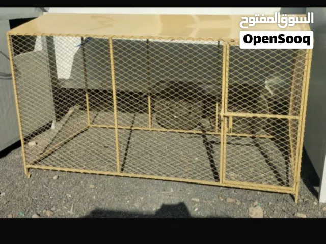 قفص مثل الي بالصوره