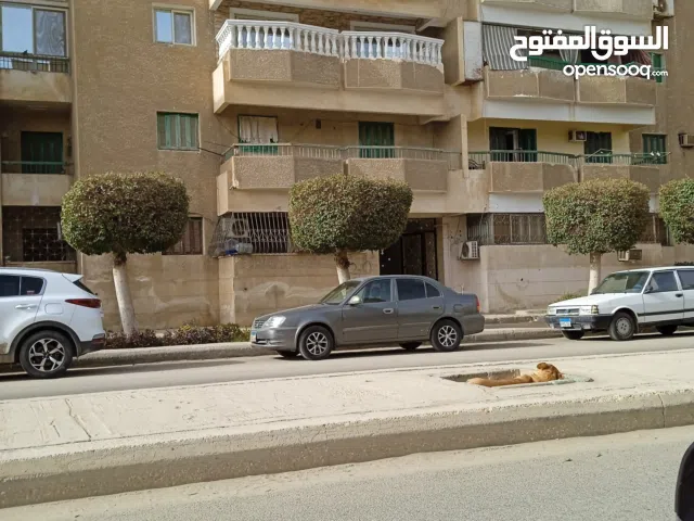 شقه مفروشه للايجار