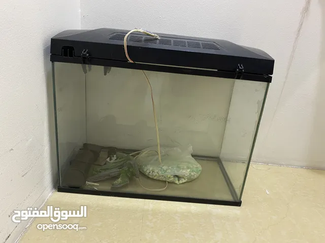 Aquarium with all the filter and other items