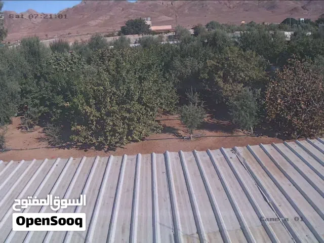 2 Bedrooms Farms for Sale in Aqaba Wadi Rum