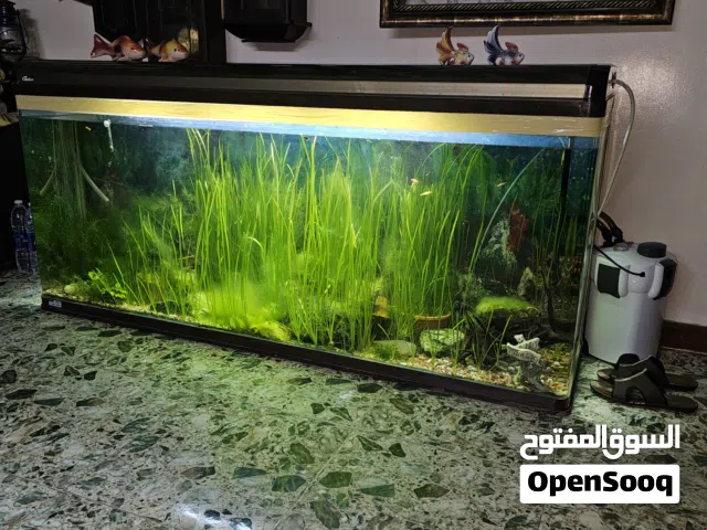 BIG AQUARIUM FOR SALE