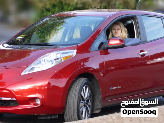 2013 نيسان ليف SV
