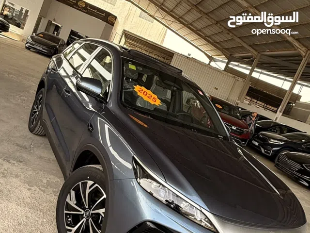 2025, بي واي دي, سونج برو