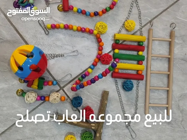 الألعاب طيور