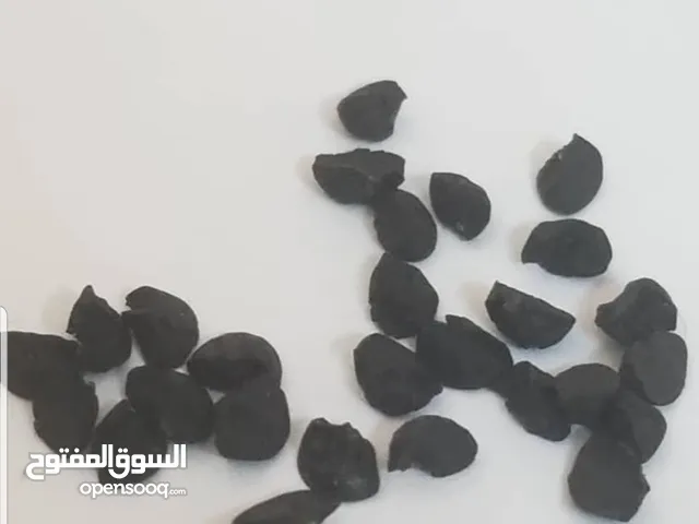 بذور بصل احمر يمني بافطيم محسن