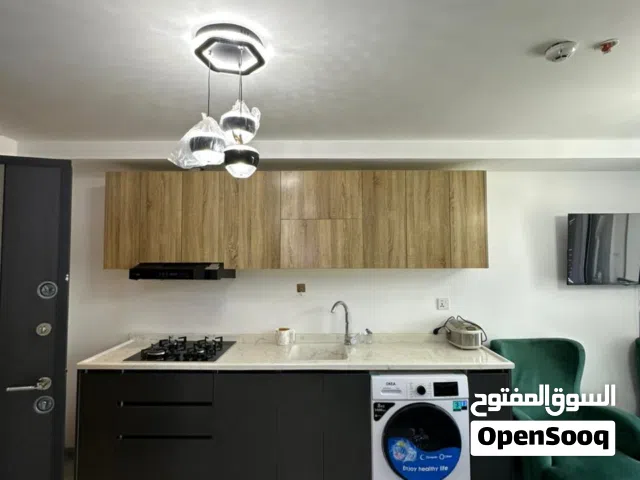 73 m2 1 Bedroom Apartments for Rent in Erbil Life Tower