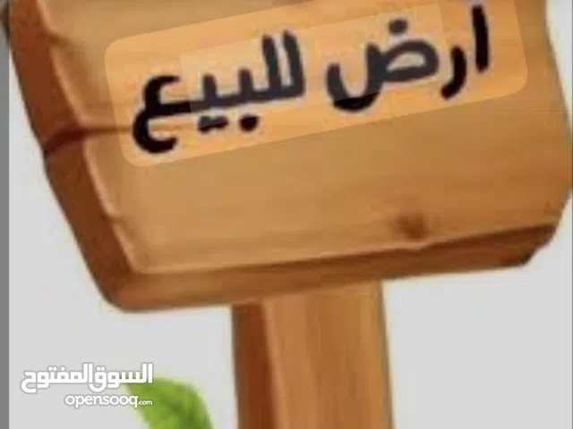 قطعتي ارض في مزارع النوباني مفروزات