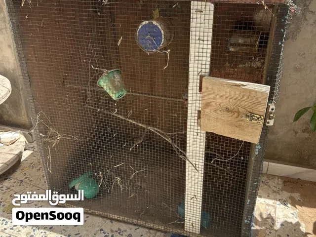 قفص عصافير خشبي