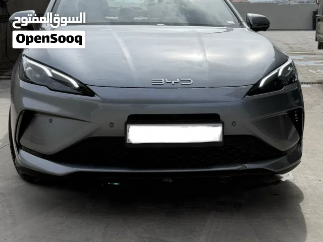 2025, بي واي دي, سيل