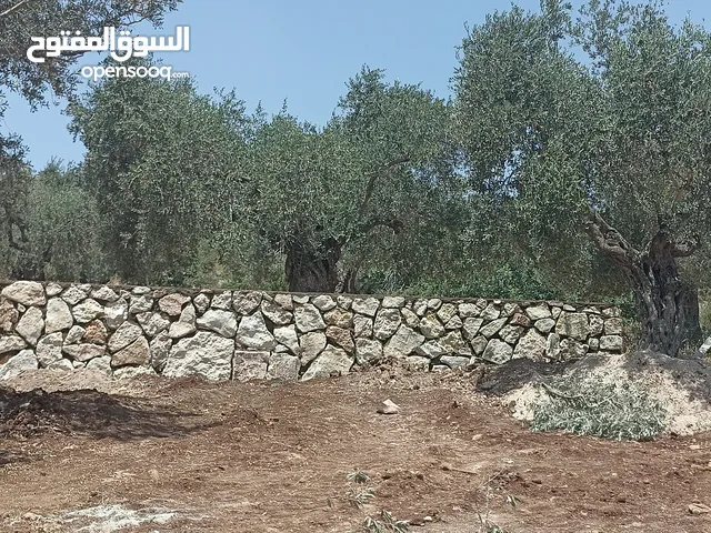 مقاولات بناء جدران حجر طلياني تبليط ساحات حجر تعمير اراضي وتشييك وبناء جدران سلاسل حجرية