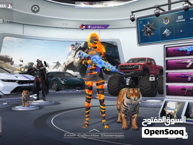 Pubg Accounts and Characters for Sale in Amman