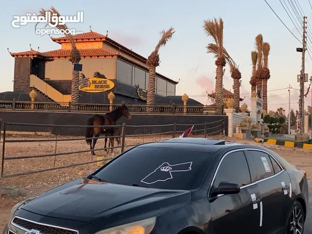 Used Chevrolet Malibu in Madaba