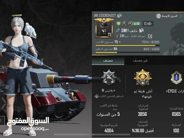 Pubg Accounts and Characters for Sale in Nairyah
