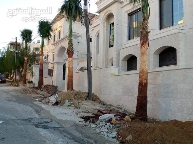 نخيل مثمر والزينه