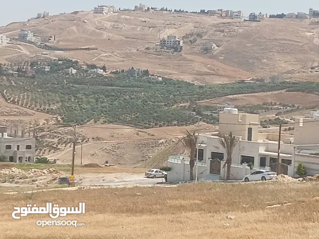 Residential Land for Sale in Amman Safut