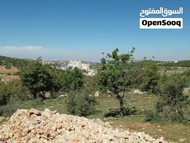 إطلاله مميزه ومكان هادئ