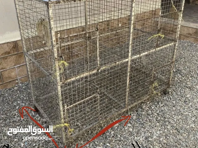 قفص 4 محاكر نظيف بسيط استخدام الطول 38 العرض 47