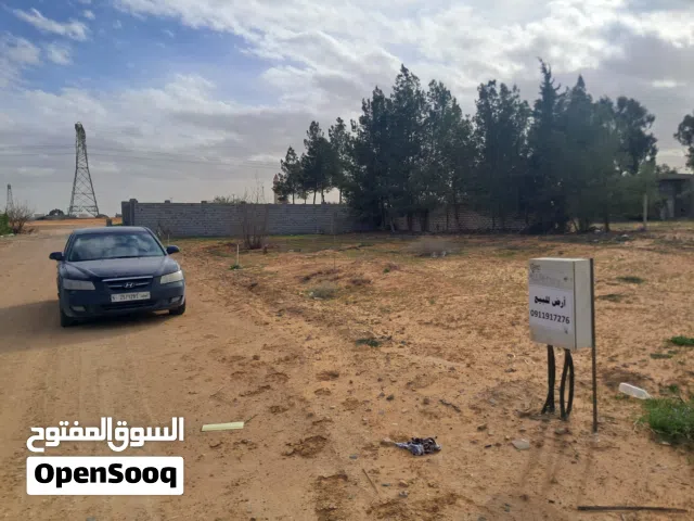 Residential Land for Sale in Tripoli Wadi Al-Rabi