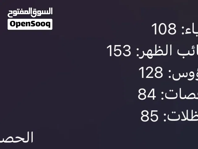 Accounts and Characters for Sale in Al Riyadh