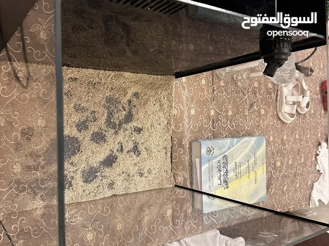 حوض سمك بحري سمب خلفي