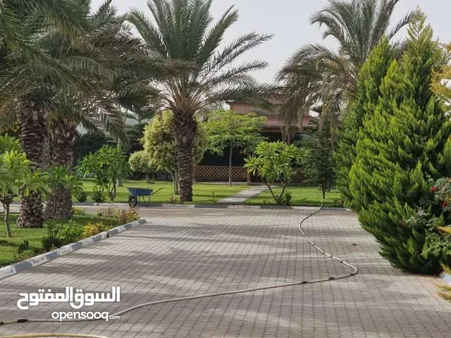 Commercial Land for Sale in Tripoli Tareeq Al-Mashtal