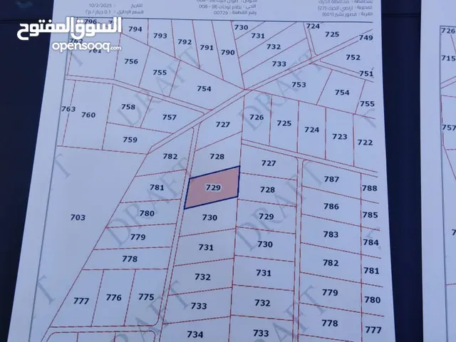 أراضي للبيع في الطفيله