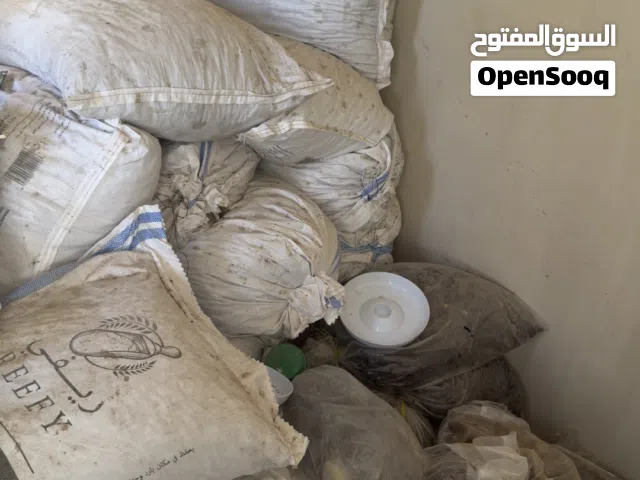 سح (نفيعه)