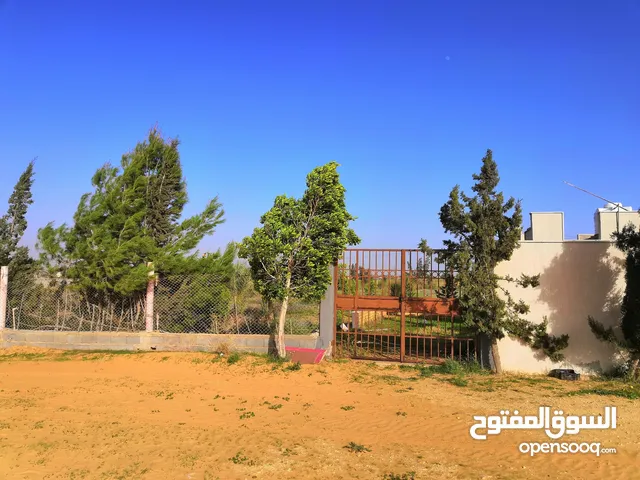 2 Bedrooms Farms for Sale in Tripoli Qasr Bin Ghashir