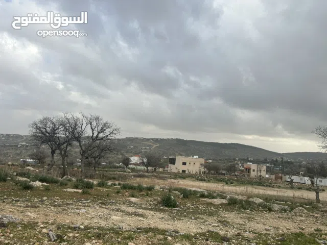 Farm Land for Sale in Zarqa Al-Alouk